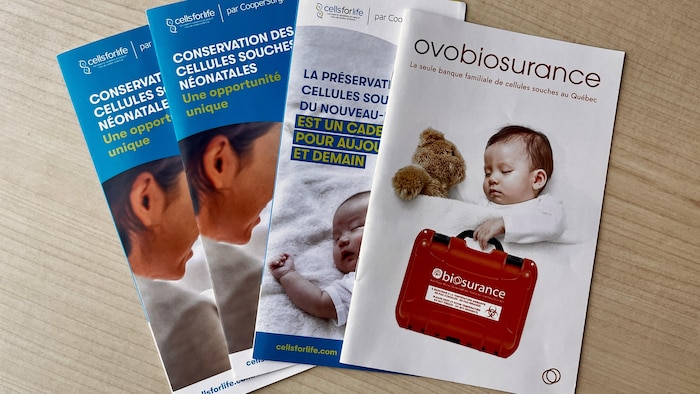 Des brochures sur une table.