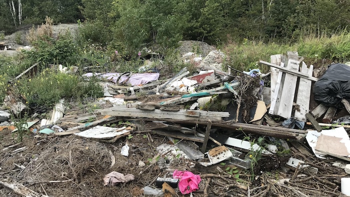 Des objets jetés constituent un dépotoir illégal en forêt.