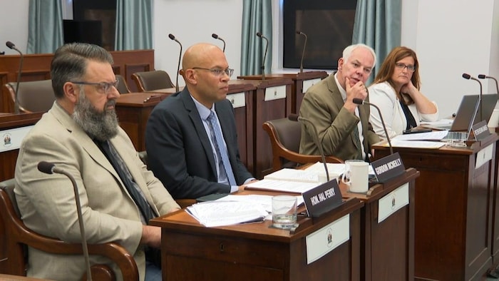 Les députés Hal Perry, Gordon McNeilly, Peter Bevan Baker et Karla Bernard participent à un comité.