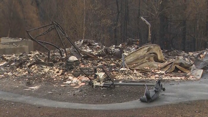 Le feu de forêt a tout détruit sur son passage à Upper Tantallon, Nouvelle-Écosse. 
