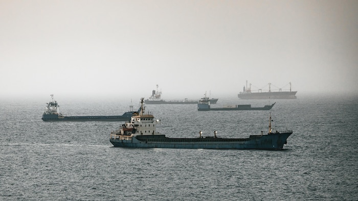 Des pétroliers, des vraquiers et d’autres navires sont à l’ancrage autour du port de Qaboos, le 22 juin 2026, à Mascate, en Oman. 