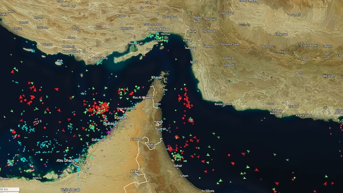 Une capture d'écran du trafic maritime.