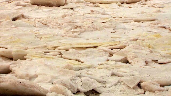 Des taches brunes sur les glaces dans le port.