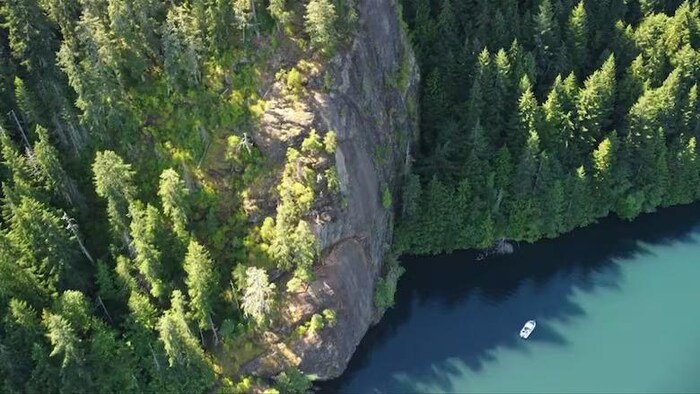 Une photo aérienne d'un bord de lac avec des arbres et une falaise.
