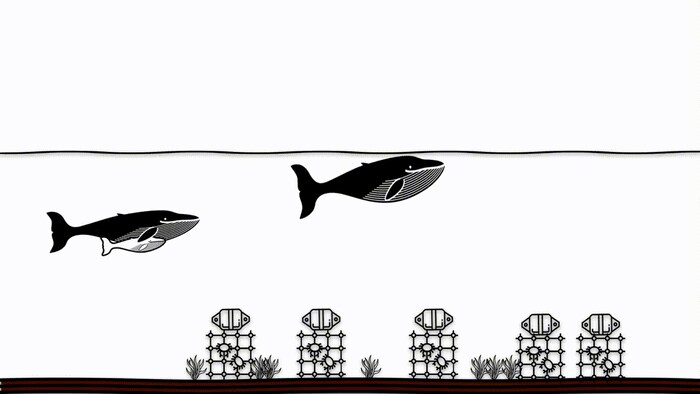 graphique baleines et bouees