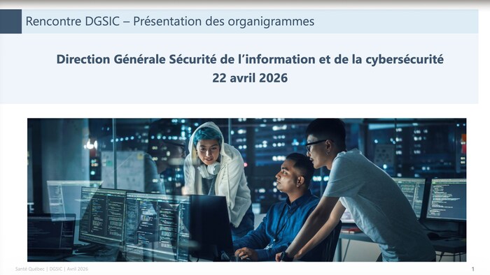 Capture d'écran d'une rencontre de Santé Québec.
