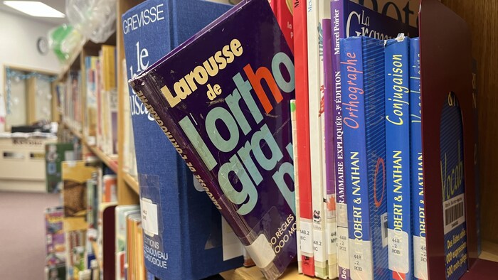 Des dictionnaires en français dans une étagère de bibliothèque. 