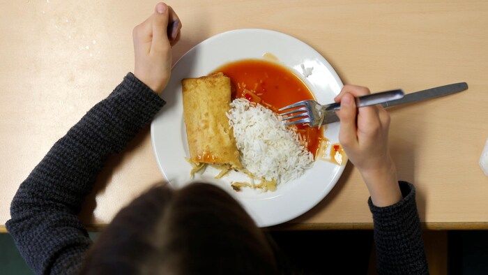 Une fillette photographiée de haut, assise devant une assiette de riz blanc. Un masque est posé à sa droite sur la table.
