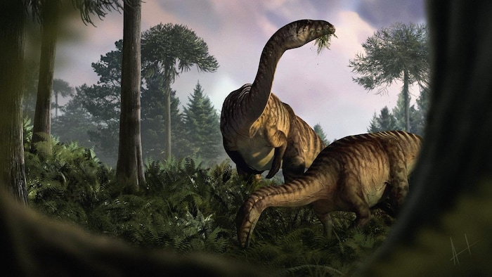 Un duo de sauropodomorphes.