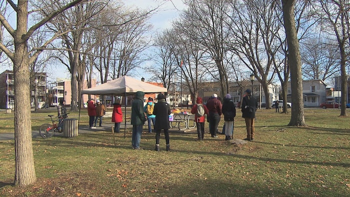Personas reunidas en un parque.