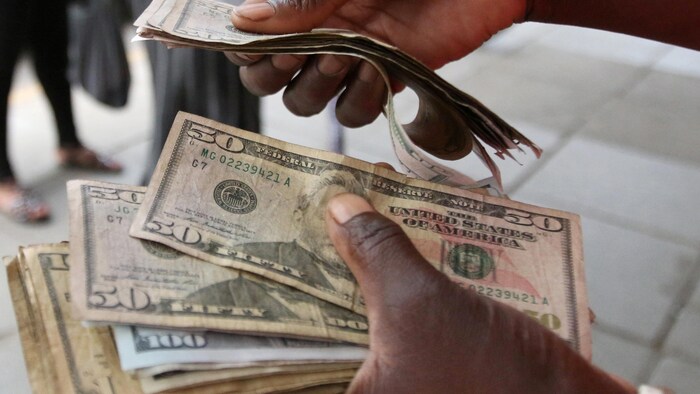 Des mains tiennent des billets de banque américains.