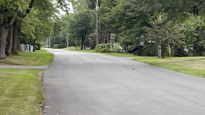 Une rue dans le Domaine Somerset, à Plessisville. 