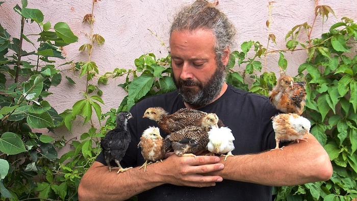 Dominic Lamontagne devant un mur végétalisé tient de jeunes volailles dans ses bras.