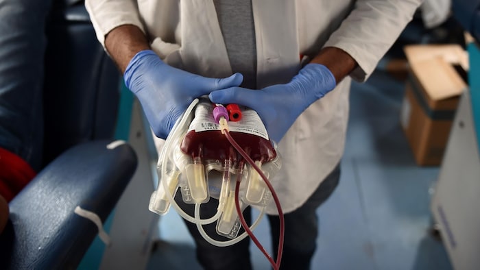 Portrait de donneurs de sang à Montréal (Canada) : typologie en