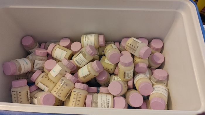 Une glacière remplie de bouteilles de lait.