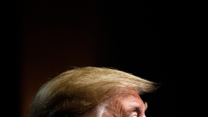 La chevelure blonde caractéristique de l'ancien président Donald Trump
