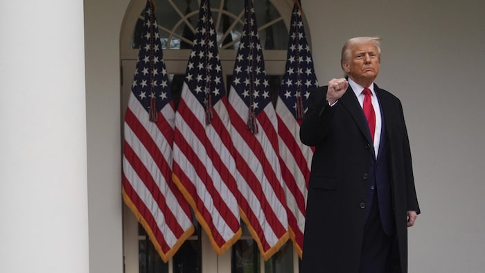 Donald Trump brandit le poing devant une rangée de drapeaux des États-Unis, à la Maison-Blanche, le 2 avril 2025.