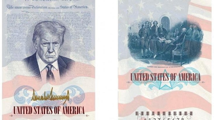 Une représentation d'un portrait de Donald Trump sur une page de passeport.