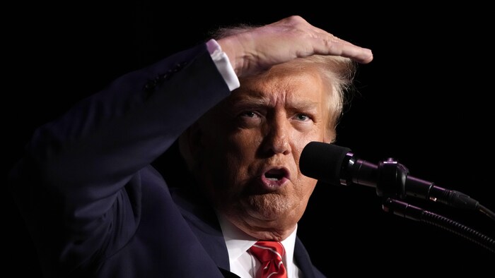 Donald Trump parle au micro en tenant sa main droite à la hauteur de ses cheveux.