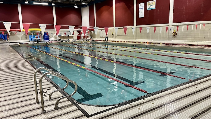 Des nageurs s'entraînent dans une piscine intérieure.