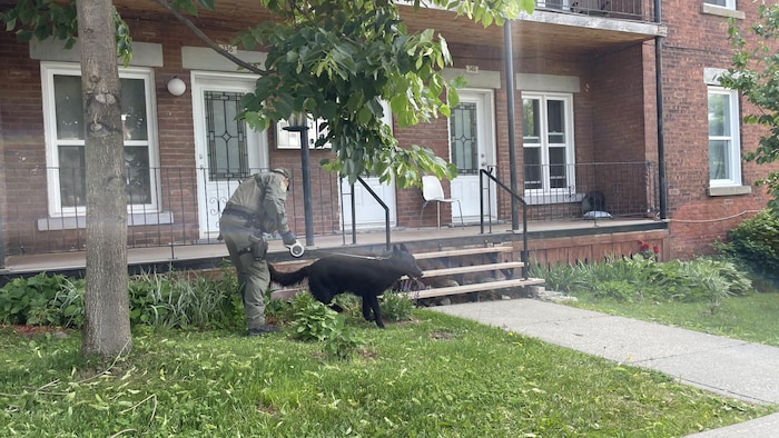 Un maître-chien et son chien devant un immeuble à logements en briques.