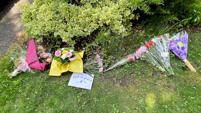 Des fleurs sur une pelouse.
