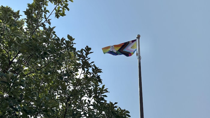 Le drapeau 2SLGBTQIA+ hissé.