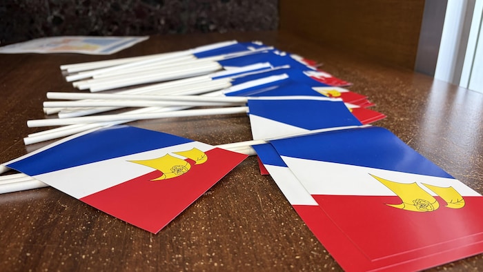 De petits drapeaux de la francophonie terre-neuvienne.