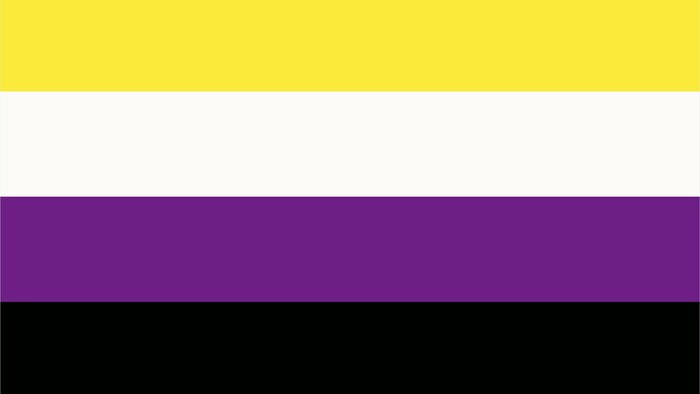 Une image d'un drapeau non binaire qui est formé de quatre lignes horizontales de couleurs jaune, blanche, mauve et noire.