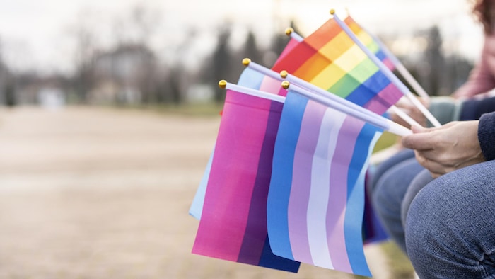 Une personne tient plusieurs drapeaux de la communauté LGBT.