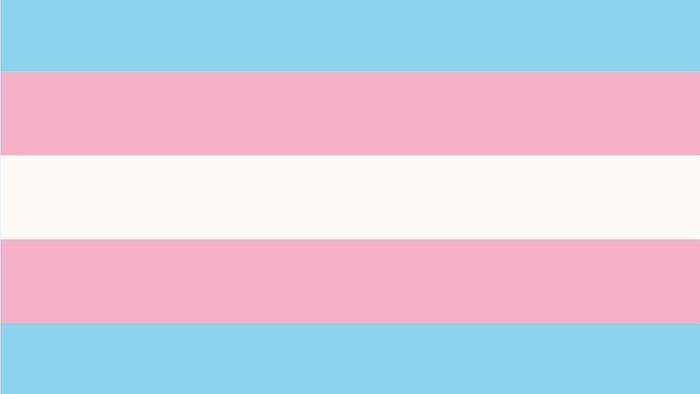 Le drapeau trans.