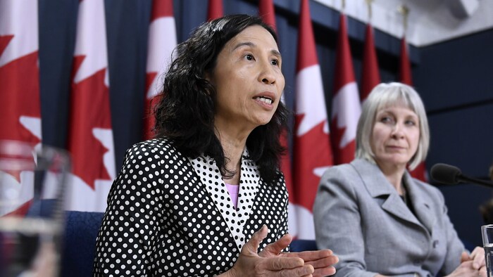 Dre Theresa Tam et la ministre Patty Hajdu s'adressent aux médias devant des drapeaux du Canada.
