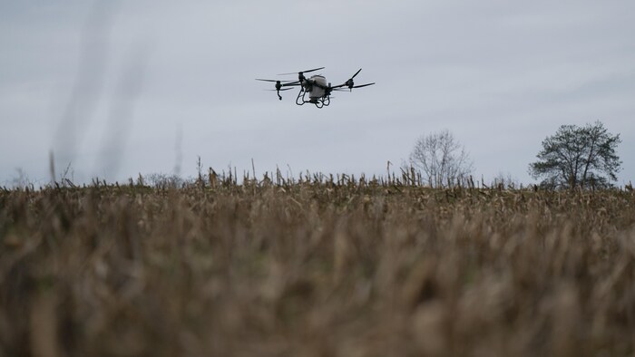 Un drone au-dessus d'un champ
