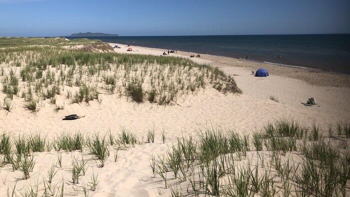 Dune de sable et mer.