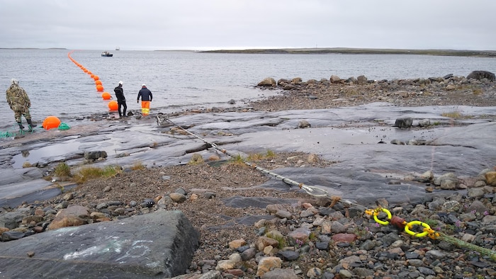 Des gens installent un câble dans l'eau.