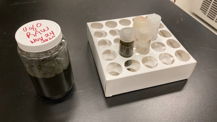 Quelques bouteilles contenant des eaux usées.