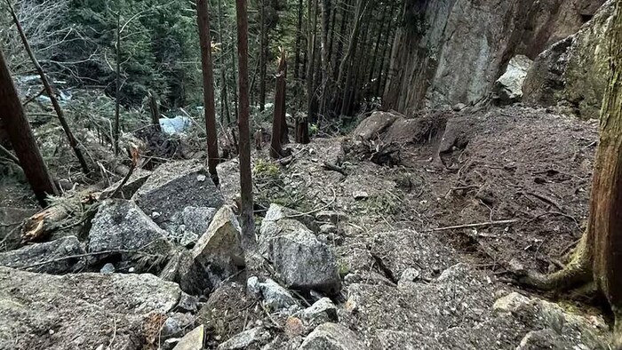 Des pierres, des débris et des arbres visible dans un environnement boisé.