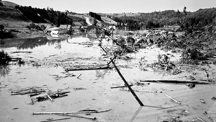 Des poteaux électriques sortent de l'eau. Des débris de bois se trouvent tout autour.