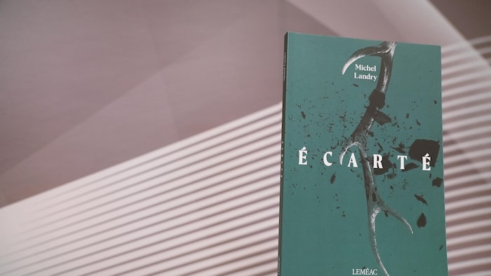 Le livre &Eacute;cart&eacute; de Michel Landry.