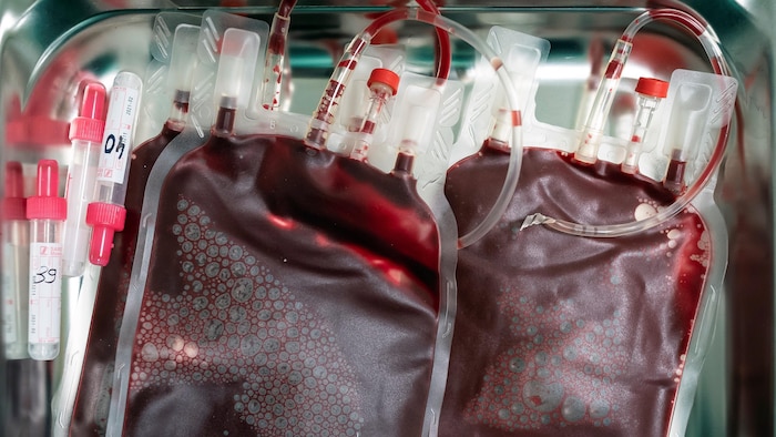 Gros program  sur des sacs de sang.