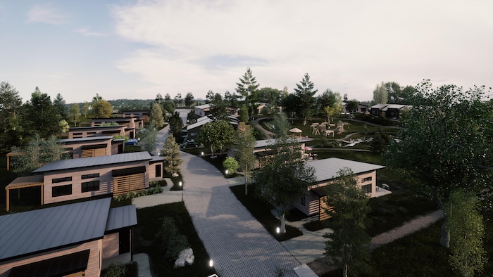 Une image d'une future petite rue avec des maisons écologiques et des arbres en grande quantité.