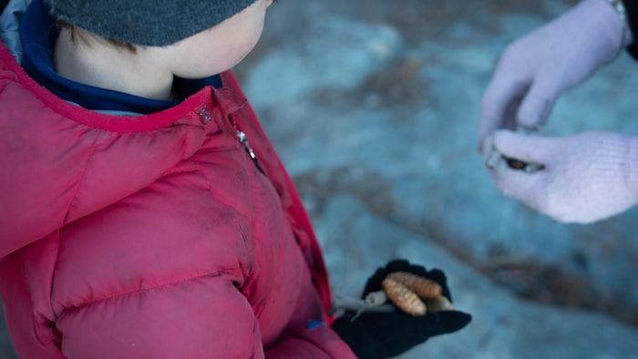 Un jeune tient des cônes et des branches dans sa main et les montre à son enseignante.