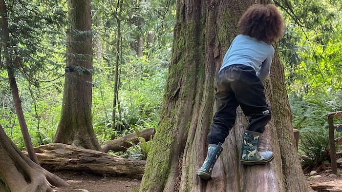 Un enfant grimpe sur le tronc d'un gros arbre en bottes de pluie.