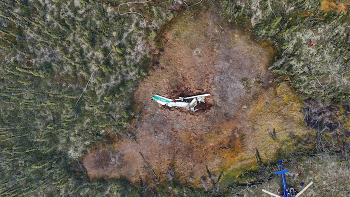 Vue aérienne de l'épave d'un avion dans une zone boisée.