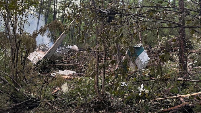 Dans une forêt, des débris d'avion.