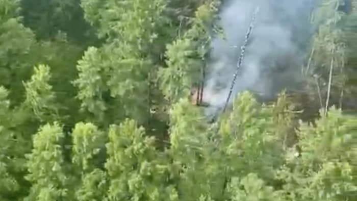 De la fumée s'élève d'une forêt.