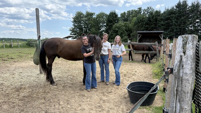 Marie-Ève Cloutier, Guylaine Beaudoin et Florence Harvey posent avec un cheval dans un enclos extérieur.