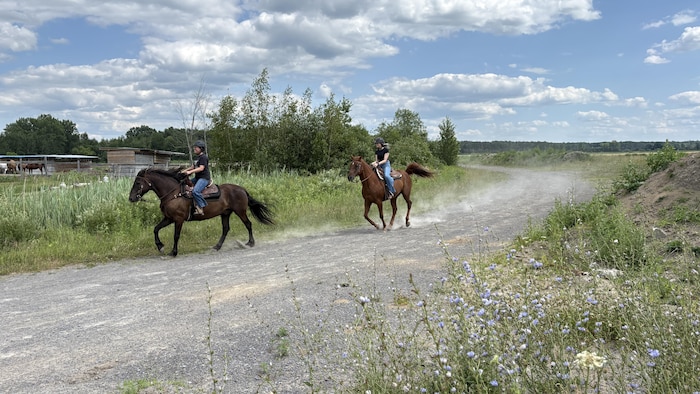 Marie-Ève Cloutier et Demmi Roy-Ferguson, à cheval, dans un sentier.