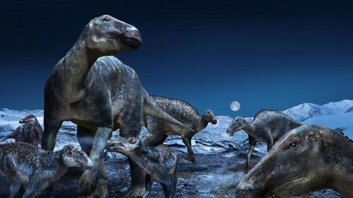 Une illustration de l'Edmontosaurus, une espèce de dinosaures à bec de canard.