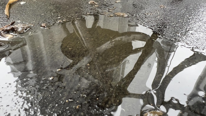 Une flaque d'eau dans laquelle se reflète la cloche d'une église.